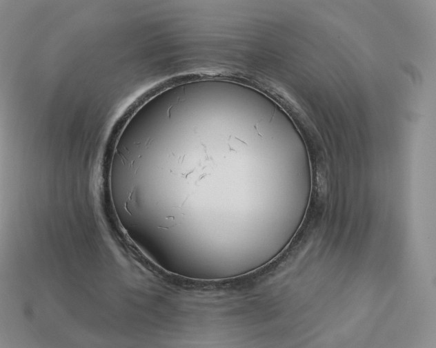 X0000114020532200910161759