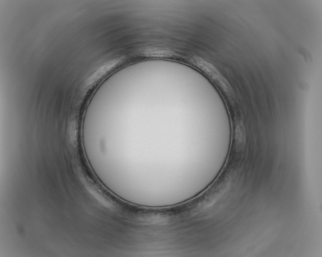 X0000114020533200910161759