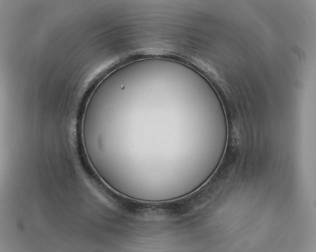 X0000114020535200910161759