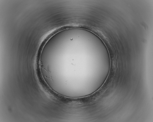 X0000114020536200910161759