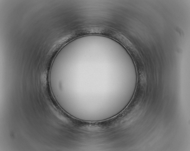 X0000114020537200910161759