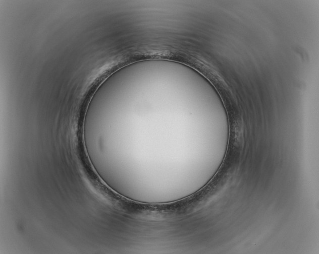 X0000114020538200910161759