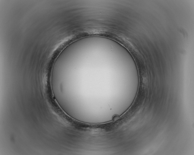 X0000114020539200910161759