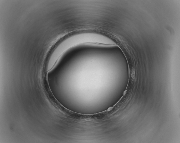 X0000114020540200910161759