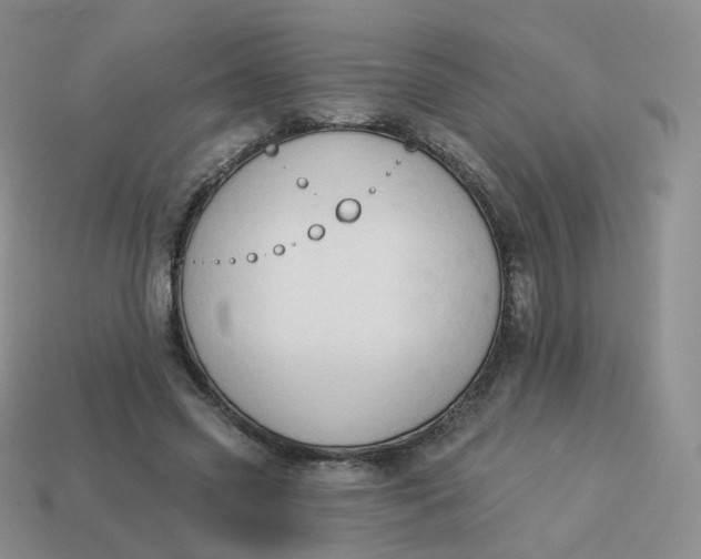 X0000114020541200910161759