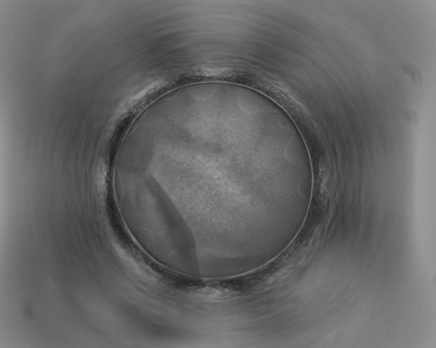 X0000114020542200910161759