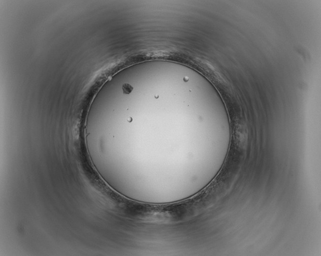 X0000114020543200910161759