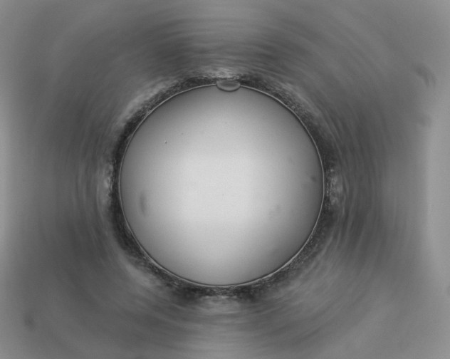 X0000114020544200910161759