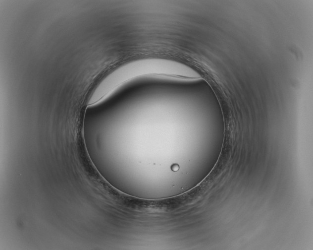 X0000114020546200910161759