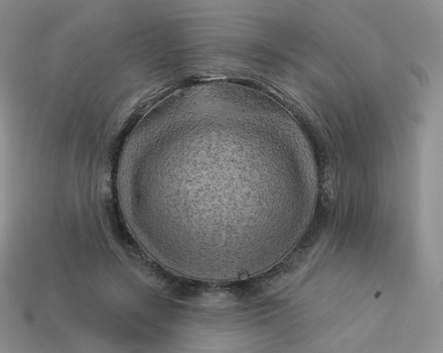 X0000114020547200910161759