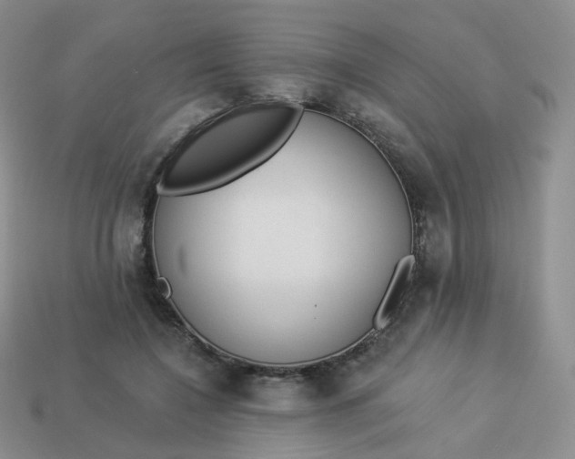 X0000114020548200910161759