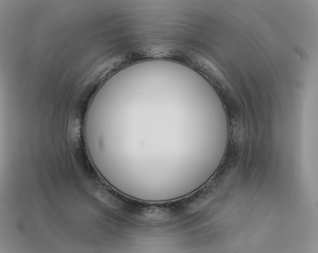 X0000114020549200910161759