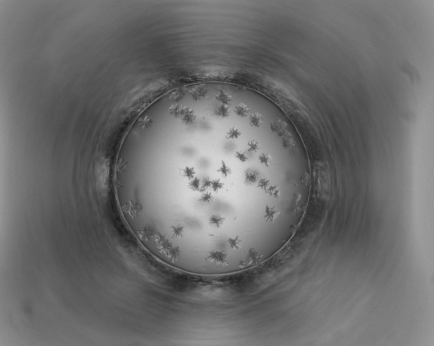 X0000114020550200910161759