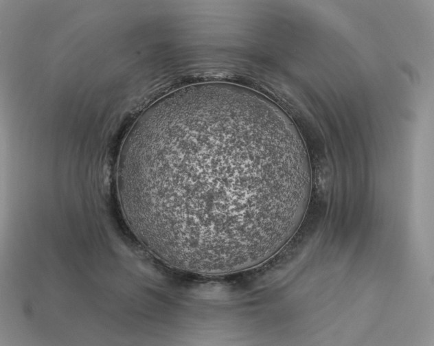 X0000114020551200910161759