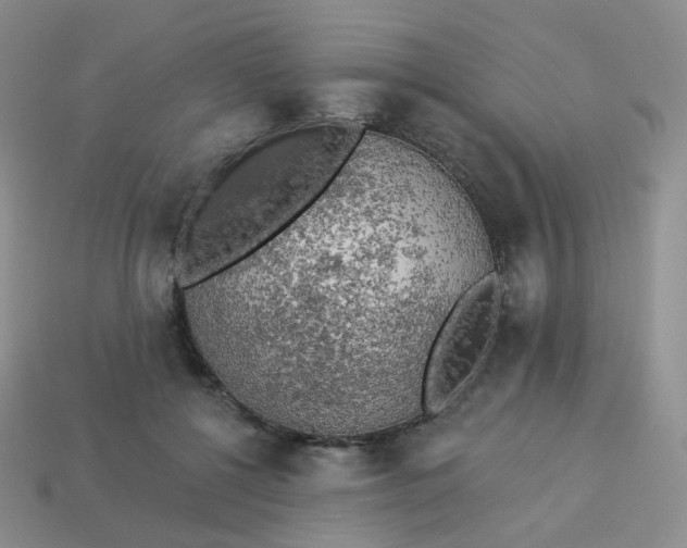 X0000114020552200910161759