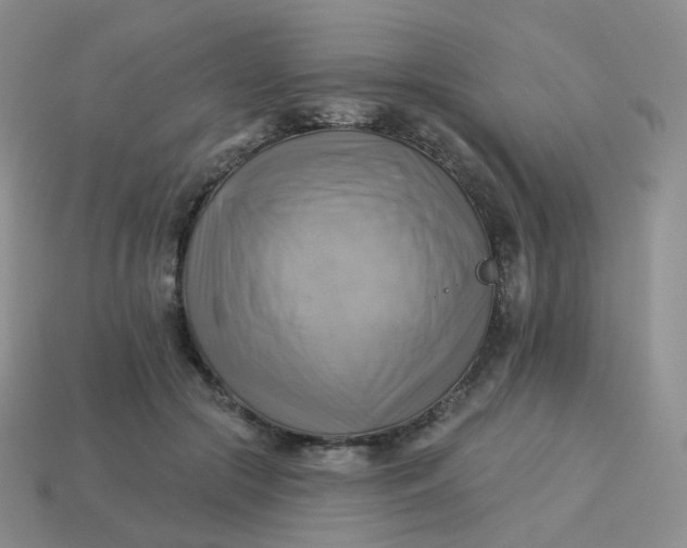 X0000114020553200910161759