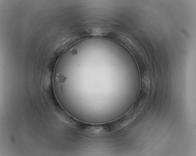 X0000114020554200910161759