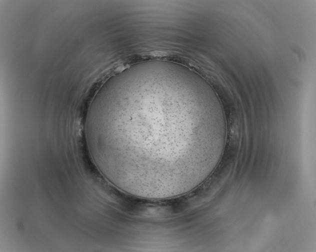 X0000114020555200910161759