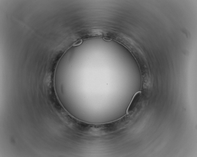 X0000114020560200910161759