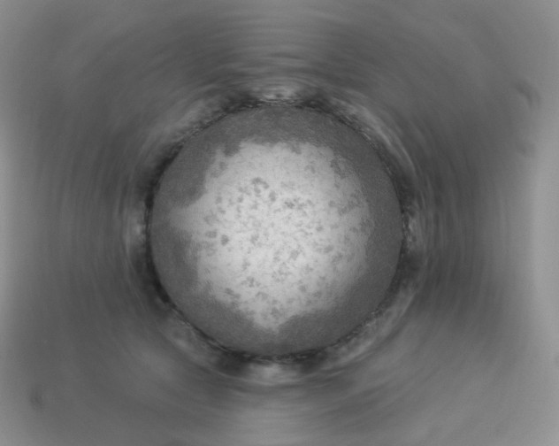 X0000114020561200910161759