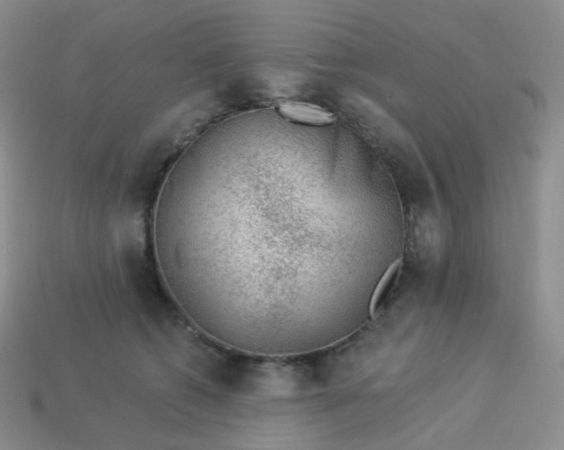 X0000114020562200910161759