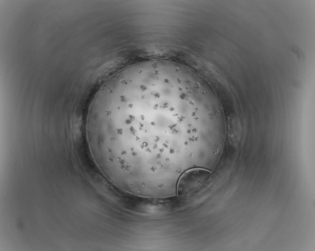 X0000114020563200910161759