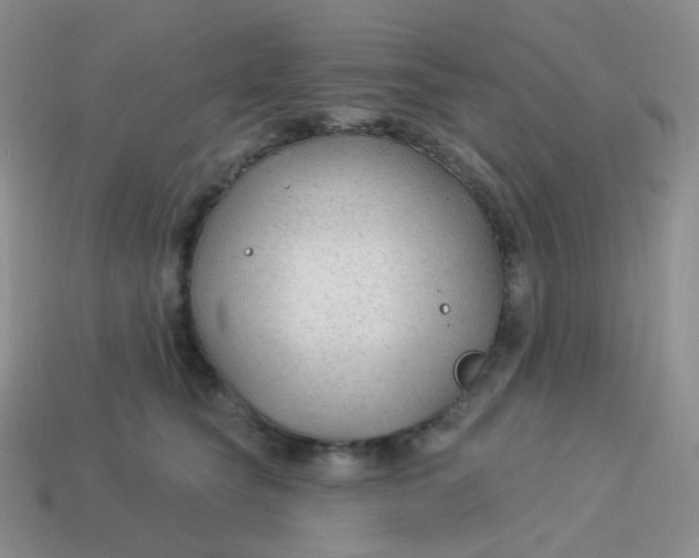 X0000114020565200910161759