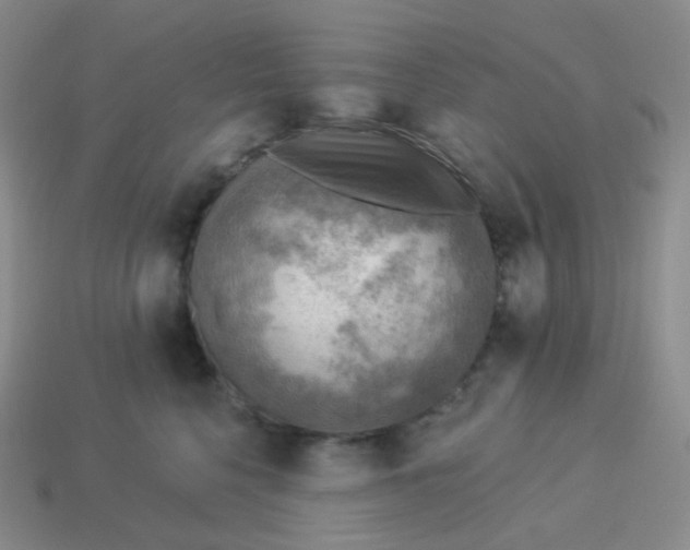 X0000114020568200910161759