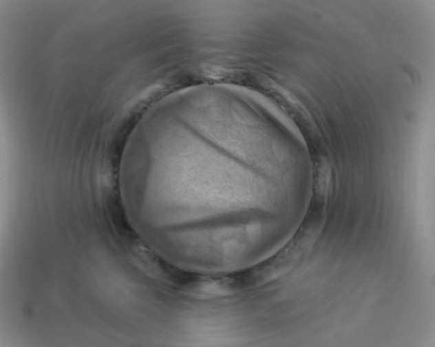 X0000114020569200910161759