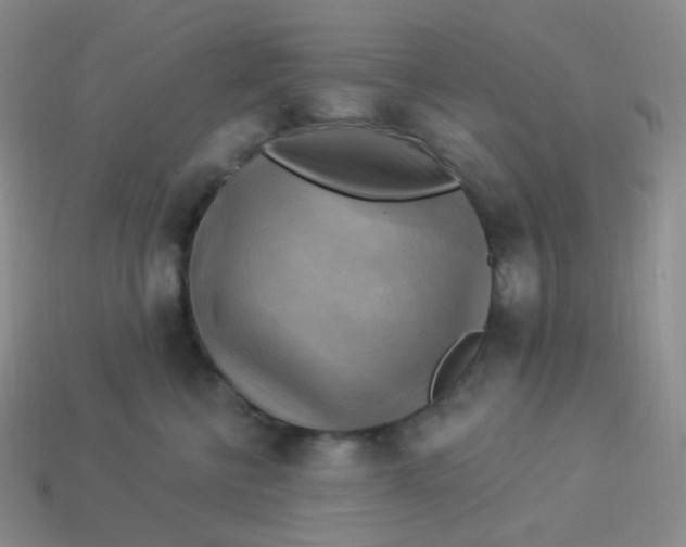 X0000114020570200910161759