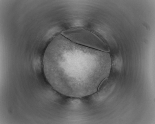 X0000114020572200910161759