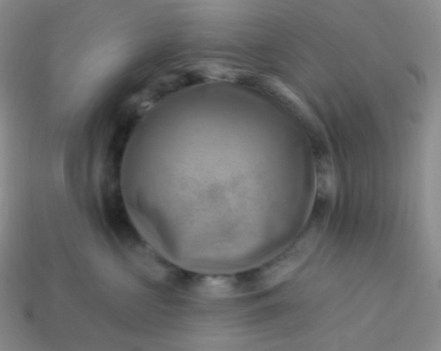 X0000114020573200910161759