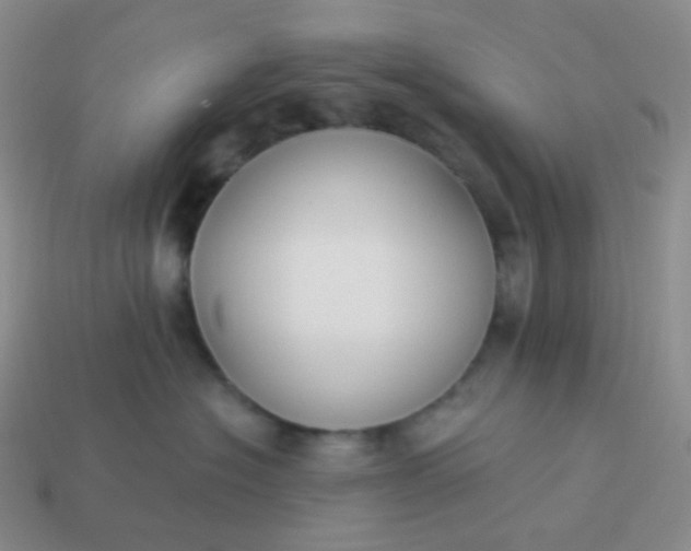 X0000114020574200910161759