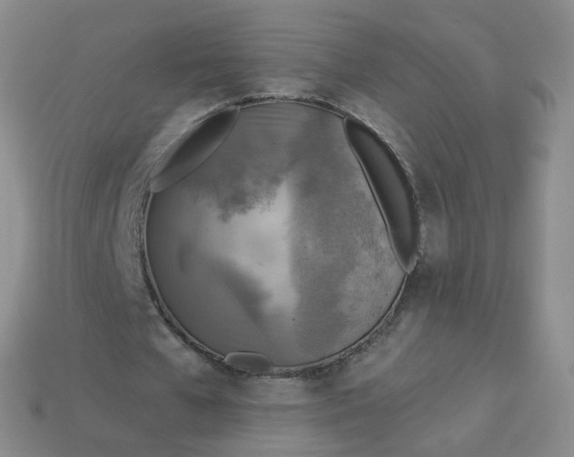 X0000114020577200910161758