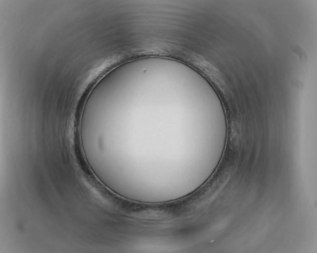 X0000114020578200910161758