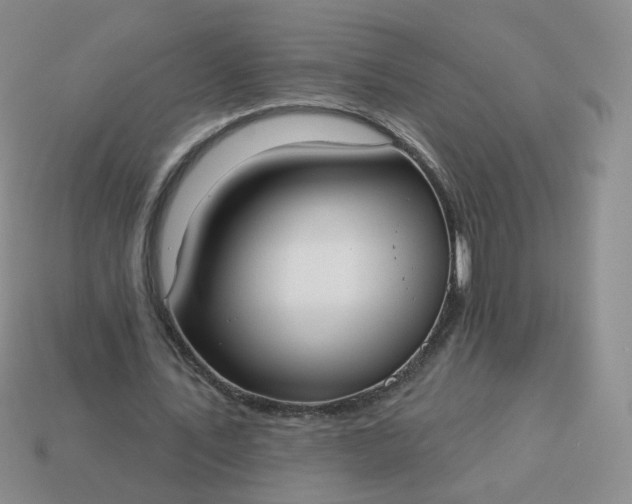 X0000114020579200910161758