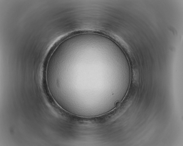 X0000114020580200910161758