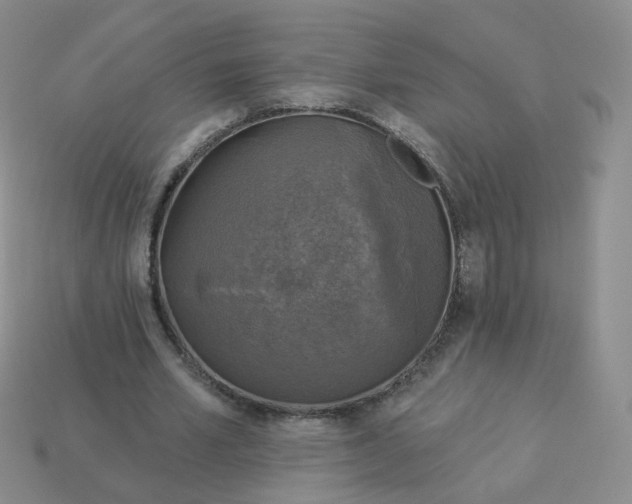 X0000114020581200910161758