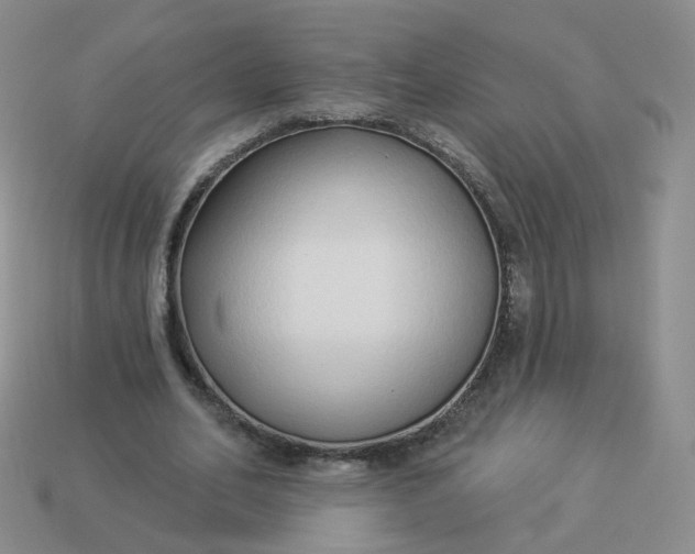 X0000114020582200910161758