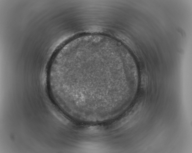 X0000114020584200910161758