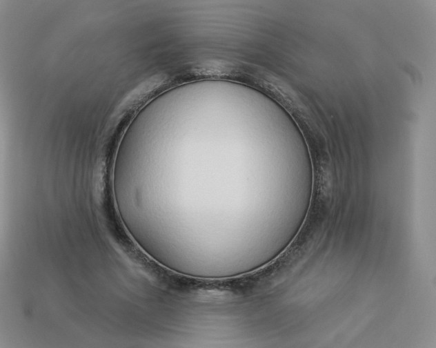 X0000114020586200910161758