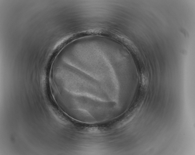 X0000114020588200910161758