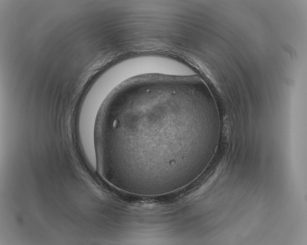 X0000114020589200910161758