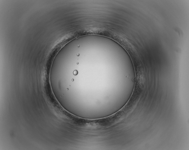 X0000114020591200910161758