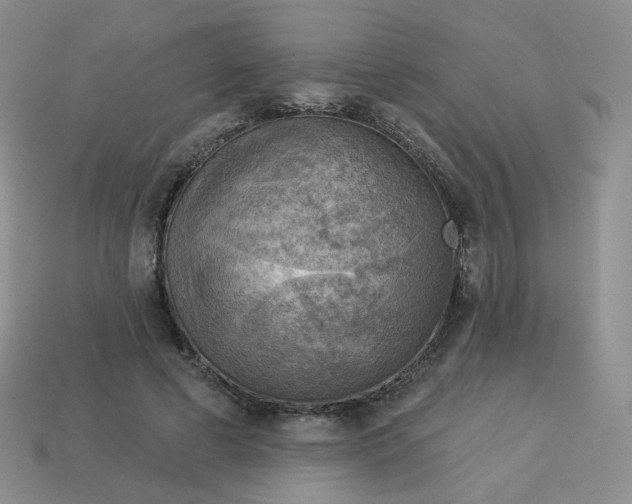 X0000114020593200910161758