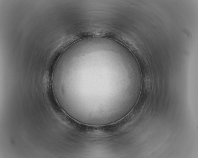 X0000114020594200910161758