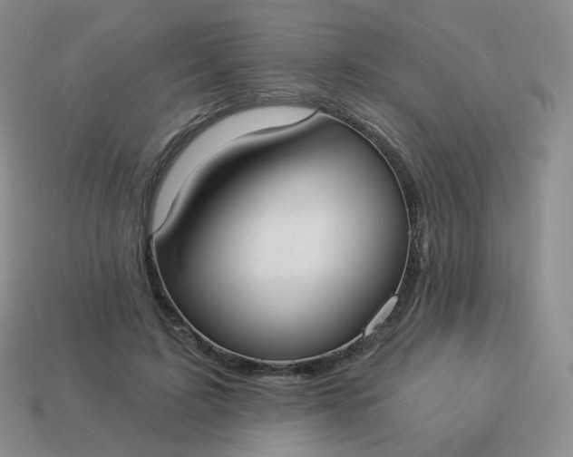 X0000114020595200910161758