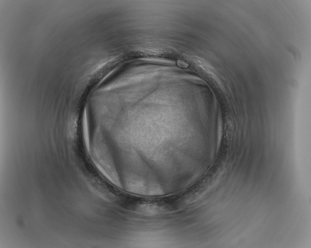 X0000114020596200910161758