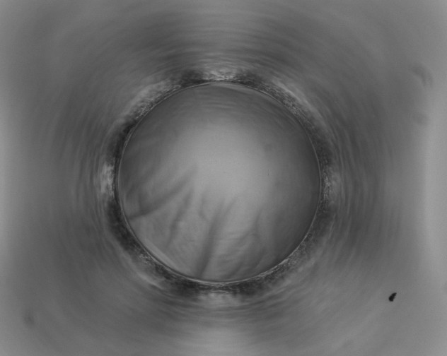 X0000114020598200910161758