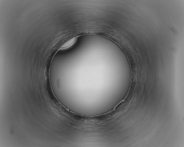 X0000114020599200910161758